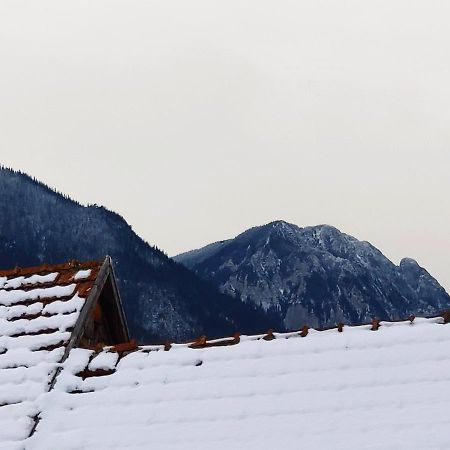 Casa Piatra Craiului Hotel Zărneşti Eksteriør billede