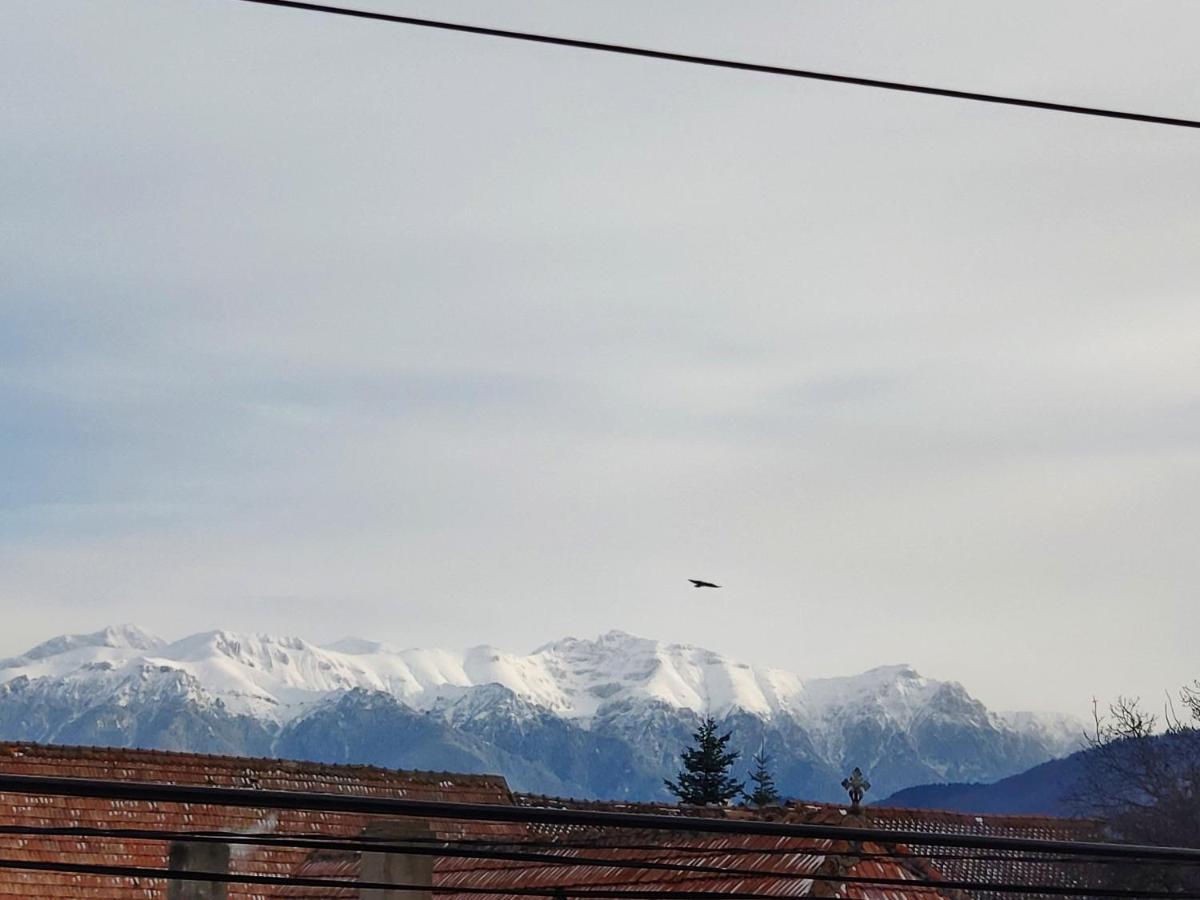 Casa Piatra Craiului Hotel Zărneşti Eksteriør billede