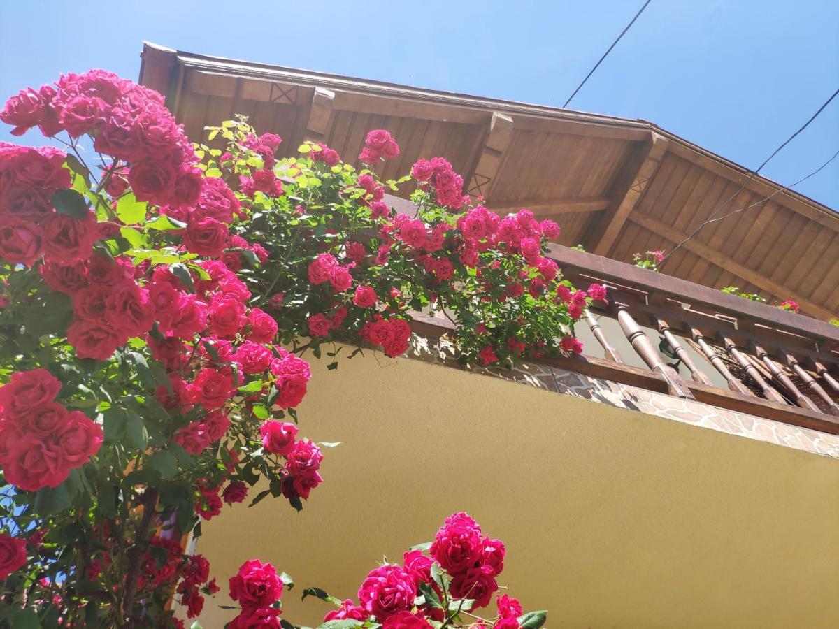Casa Piatra Craiului Hotel Zărneşti Eksteriør billede