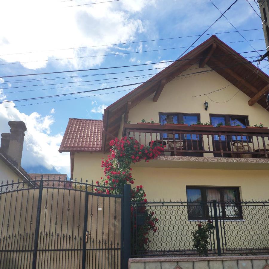 Casa Piatra Craiului Hotel Zărneşti Eksteriør billede