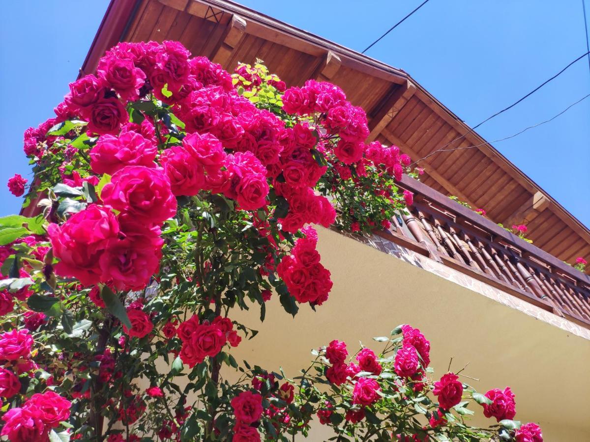 Casa Piatra Craiului Hotel Zărneşti Eksteriør billede