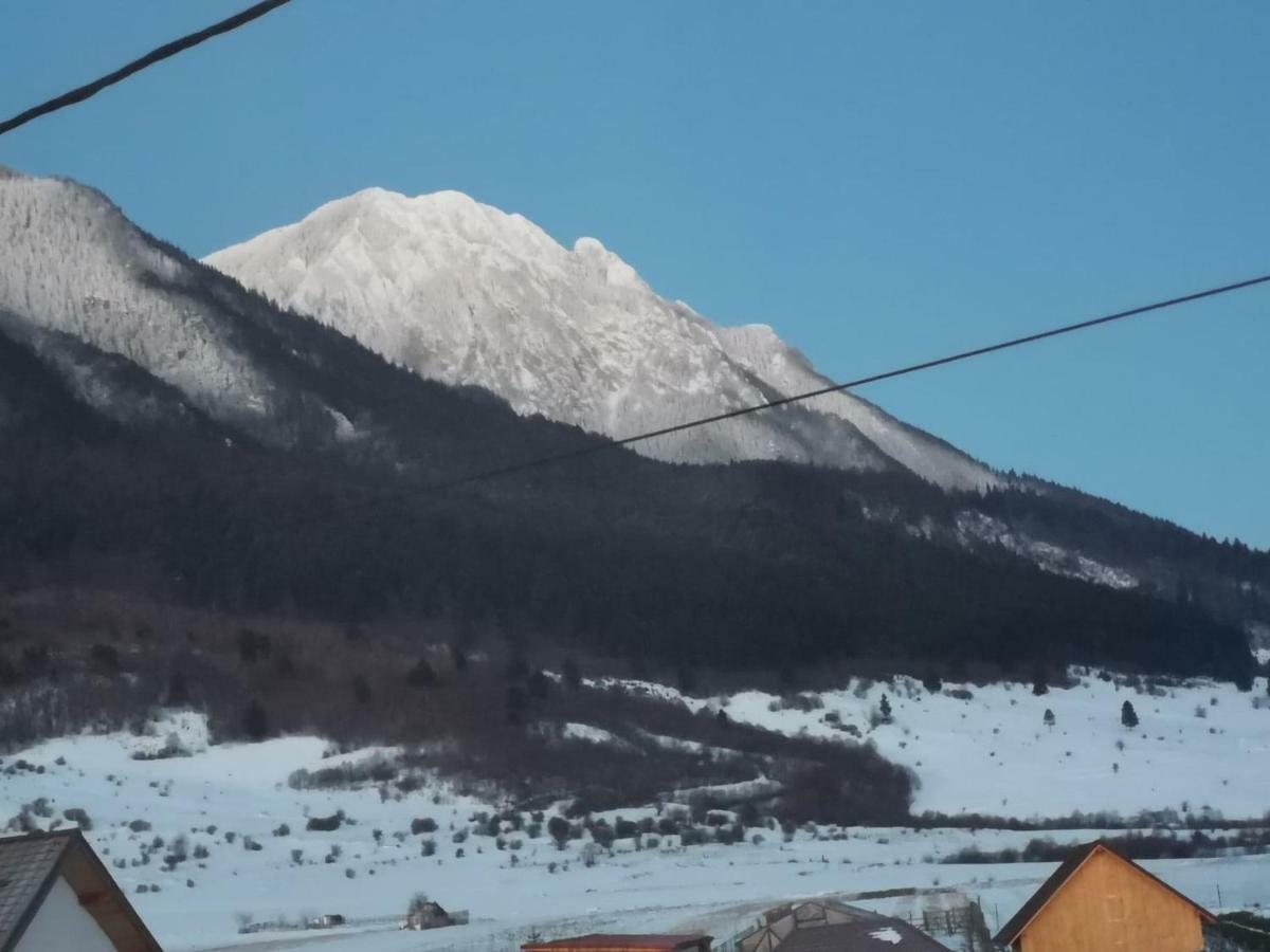 Casa Piatra Craiului Hotel Zărneşti Eksteriør billede